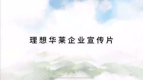 办理贷款的中介公司违法吗