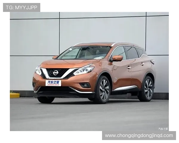 #楼兰共振异响#东风日产专修#