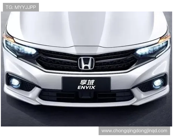 1.0T三缸机+CVT顿挫：享域的“佛系动力”劝退多少年轻人