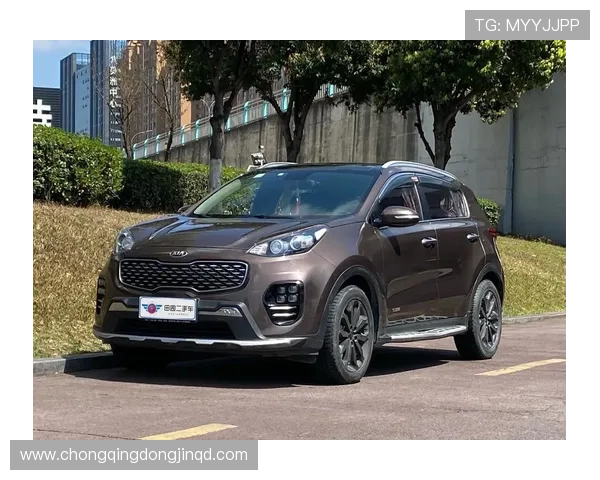 1.6T的车市区稍微堵车就跑到12个油，起亚KX5车主用车点评