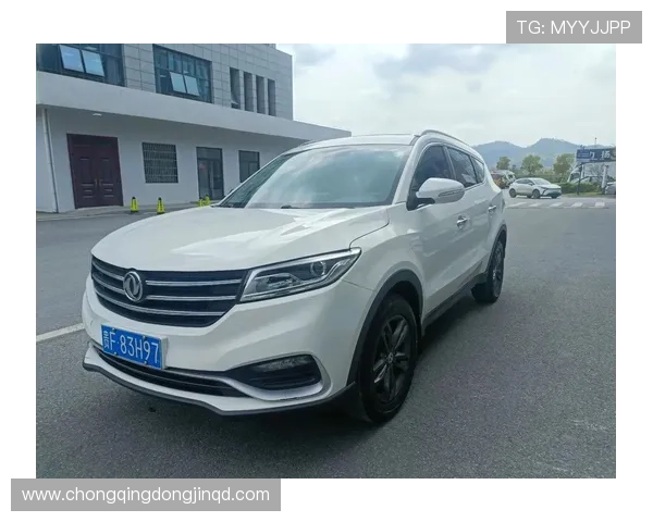 10万内高颜值7座SUV 东风风光580实拍