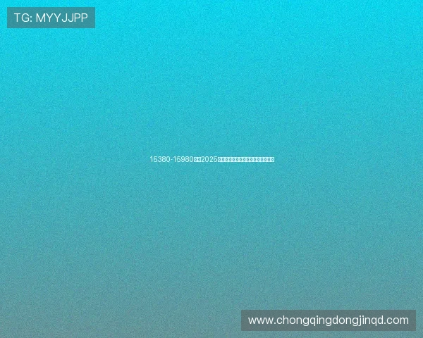 15380-15980元,2025款全新大脚怪俩配置都给你改装好了